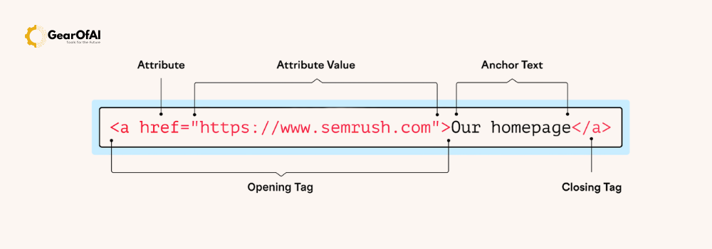 HTML Links and Anchors Connecting Web Pages